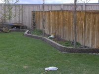 Border