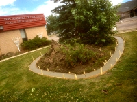 Tree bed